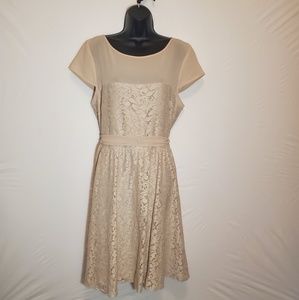 Danny & Nicole Creme Floral Embroidered Dress